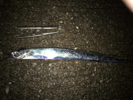 ラッキードラゴン