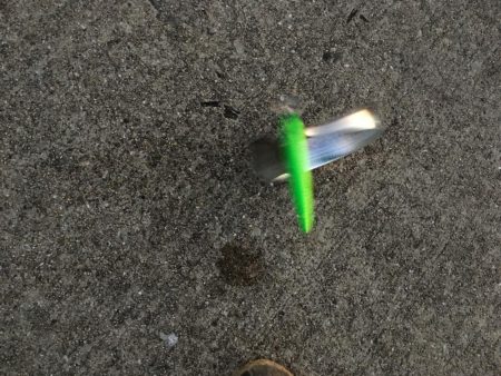 表層のみの釣果