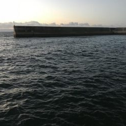 風が強く投げにくかったけど魚は居ます