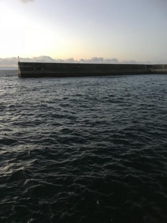 風が強く投げにくかったけど魚は居ます