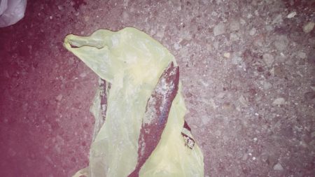 ワインドで鯖？