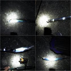 太刀魚釣りは楽しい