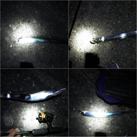 太刀魚釣りは楽しい