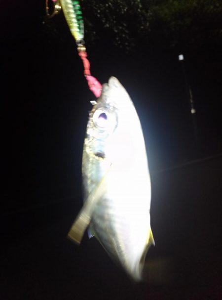 ダブルヘッダー