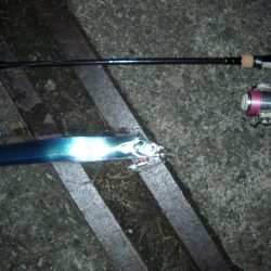 ｻｰﾍﾞﾘﾝｸﾞ