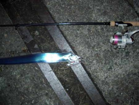 ｻｰﾍﾞﾘﾝｸﾞ