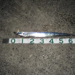 暗闇にょろにょろ