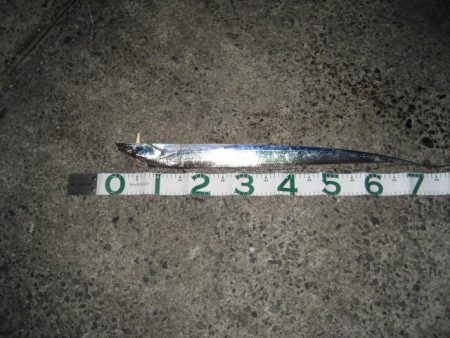 暗闇にょろにょろ