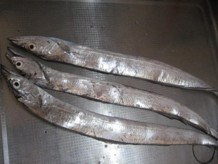 指4本　サイズ上がらず・・・