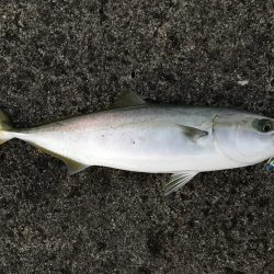 エース谷口！！