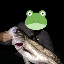 今シーズンラストシーバス？