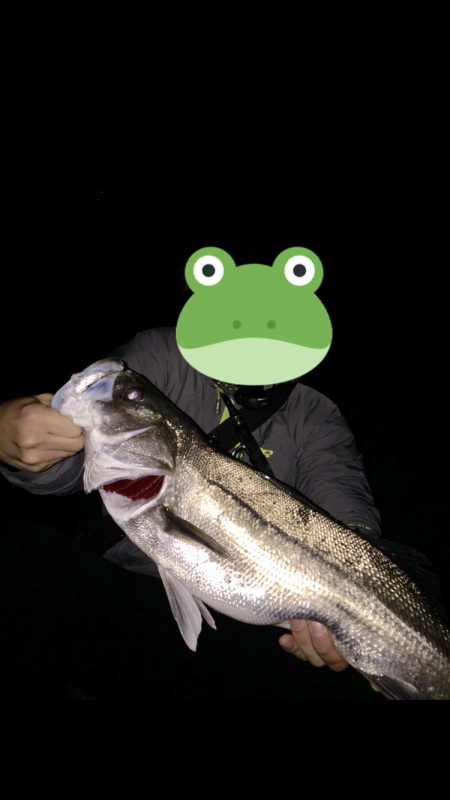 今シーズンラストシーバス？