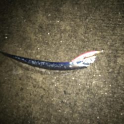 タチウオ活性高い❓