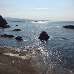 アオリイカ大漁9杯