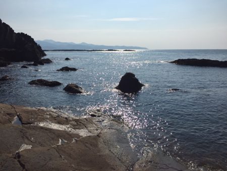 アオリイカ大漁9杯