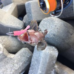 四日市港でライトワインド