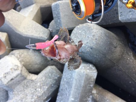 四日市港でライトワインド