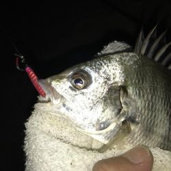 夜練から朝練！