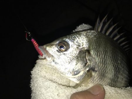 夜練から朝練！