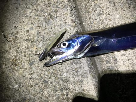 ワインド太刀魚