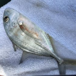 初ダブルメッキ！