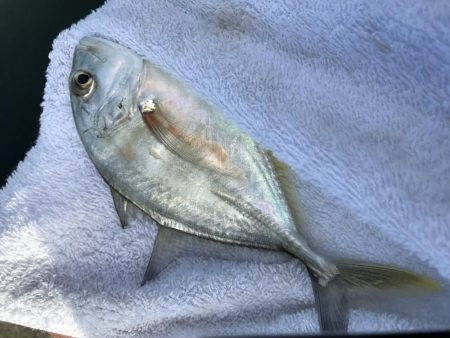 初ダブルメッキ！