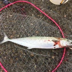 休みの日釣り三昧♫