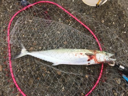 休みの日釣り三昧♫