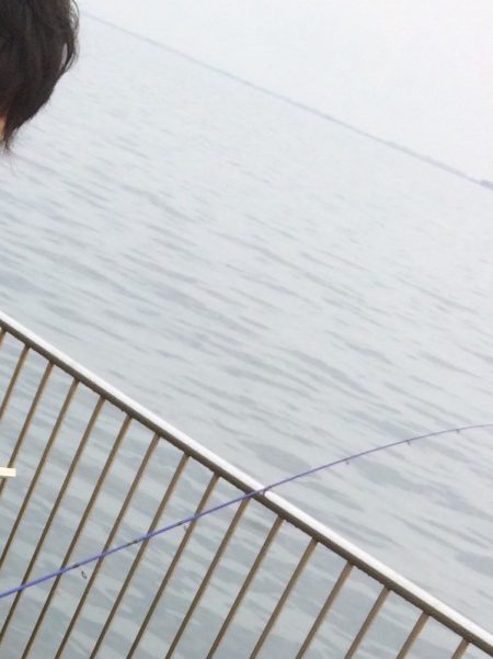 タチウオ、イシモチ