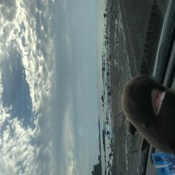 昼練メッキ南下ver.