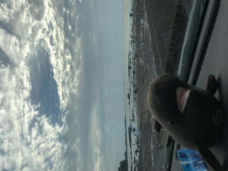 昼練メッキ南下ver.