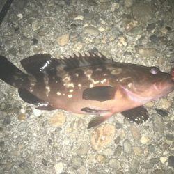 強風と濁りの中、攻略成功♫