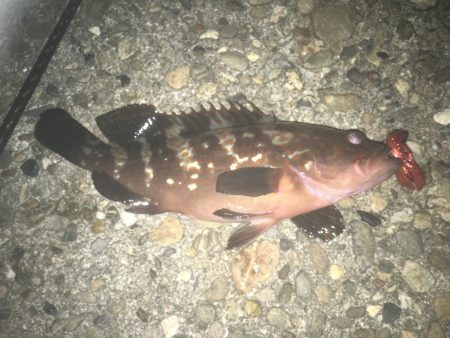 強風と濁りの中、攻略成功♫