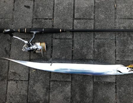 南港コスモスクエア