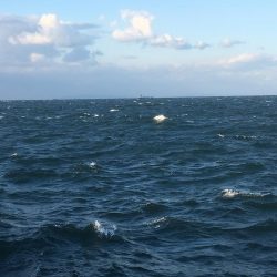 強風の中朝練♫