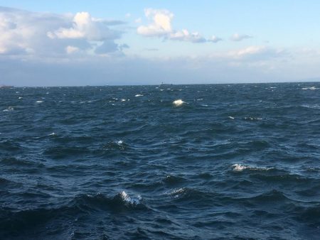 強風の中朝練♫