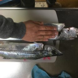 ドラゴンゲット♫