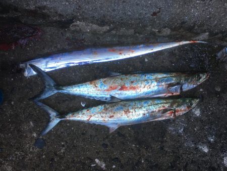 人が多い、、、