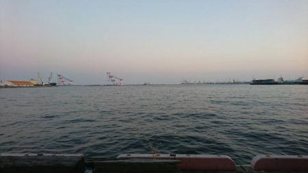 タチウオつれず、グレが。