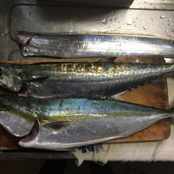 渋くても釣りますよ〜♫