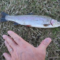 久しぶりの管理釣り場！でも渋かった！！