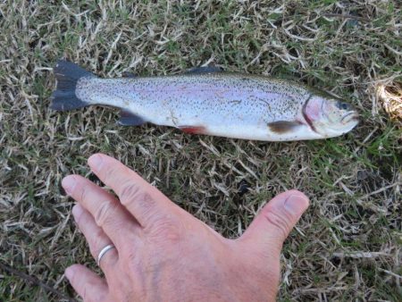 久しぶりの管理釣り場！でも渋かった！！
