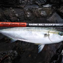 ショアプラッキング