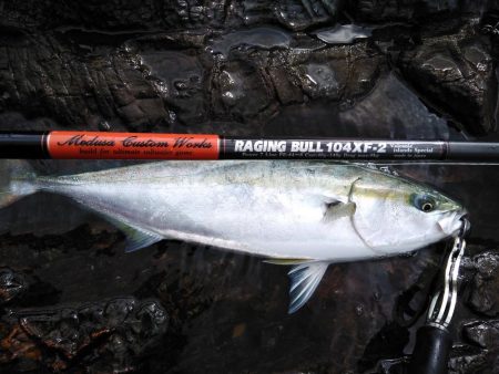 ショアプラッキング