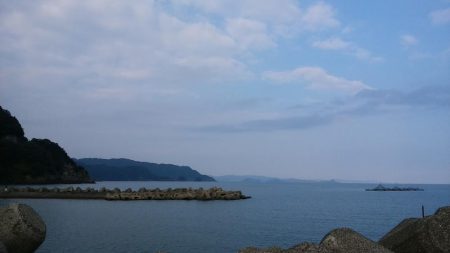 秋イカのサイズも成長してきた感じ