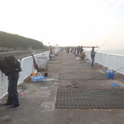 時合いはどこへやら