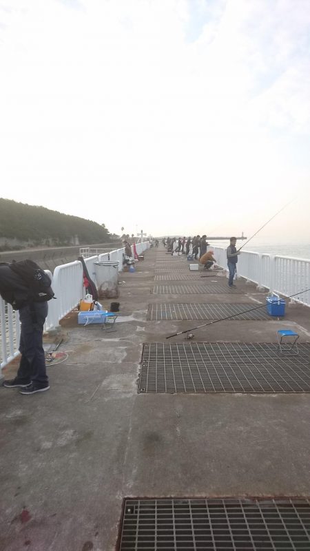 時合いはどこへやら