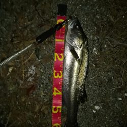 お祭りは続いてた。