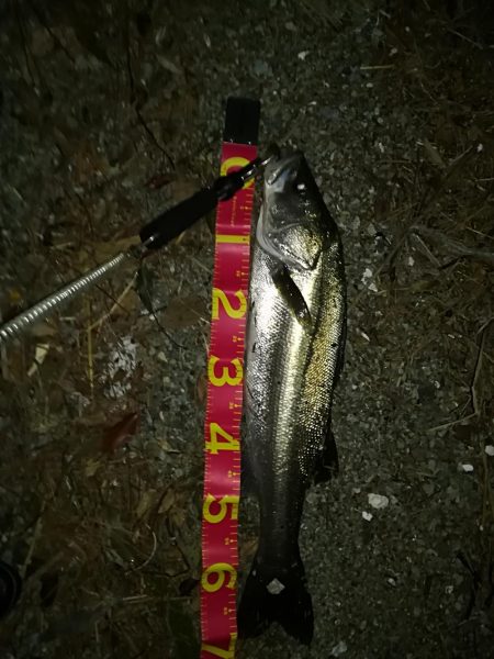 お祭りは続いてた。