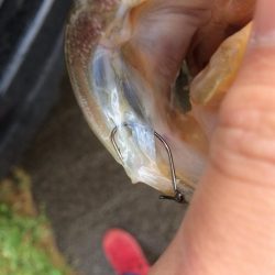 初ダウンショット